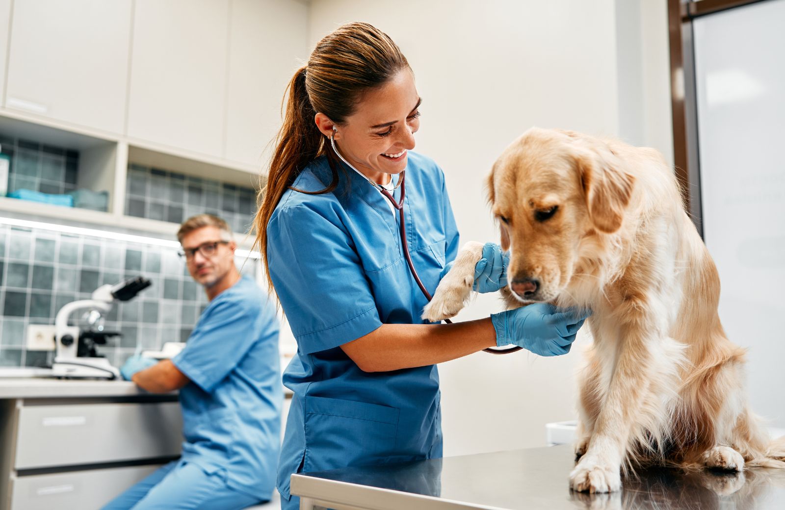 Veterinary Clinic